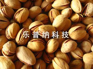開(kāi)心果